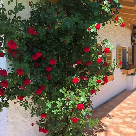 Veronika Mit 2000qm Garten Und Bergblick أونتر أمركاو