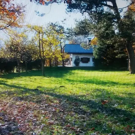 Veronika Mit 2000qm Garten Und Bergblick بيت للعطل أونتر أمركاو